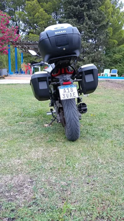 MOTO VOGE 2023 - Creek Motors